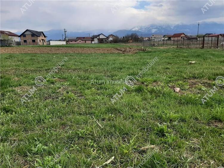 eren intravilan 1400 mp de vanzare pe Valea Avrigului - 5