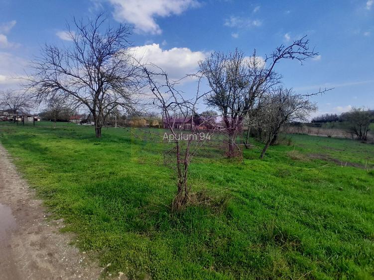 DE VANZARE TEREN 3400 MP IN SAT PODU ILFOVAT / COM BUTURUGENI (GR) - 25