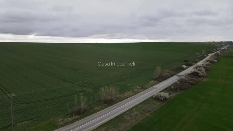 GIARMATA,teren de vanzare,27 ha,front 400 ml,1.900.000 euro - 4