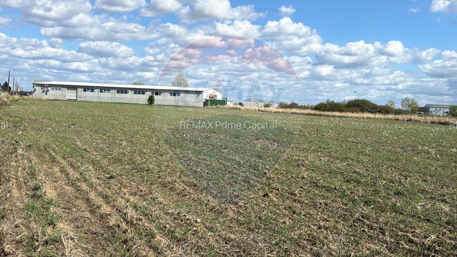 Teren 1 503 mp de vânzare, Nojorid , Soseaua DN79 - 6