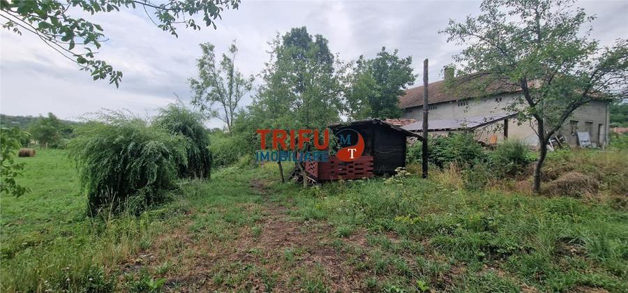 Oportunitate de Investiție: Teren 24000mp Intravilan Construibil în Ga