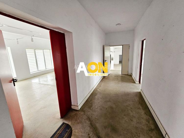 Spatiu industrial pentru productie sau depozitare, 1600 mp, Sebes - 15