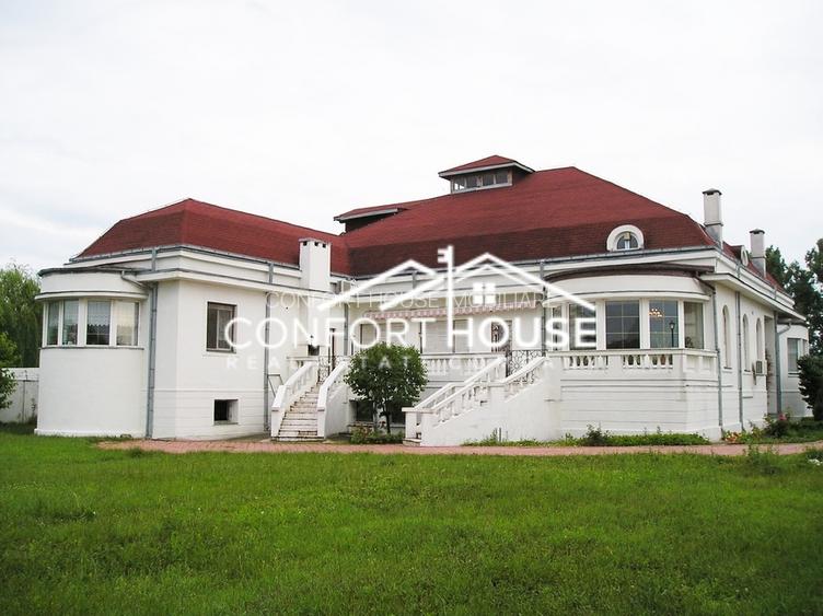 Proprietate impresionanta D+P+M, teren 4781MP, IANCU NICOLAE - 29