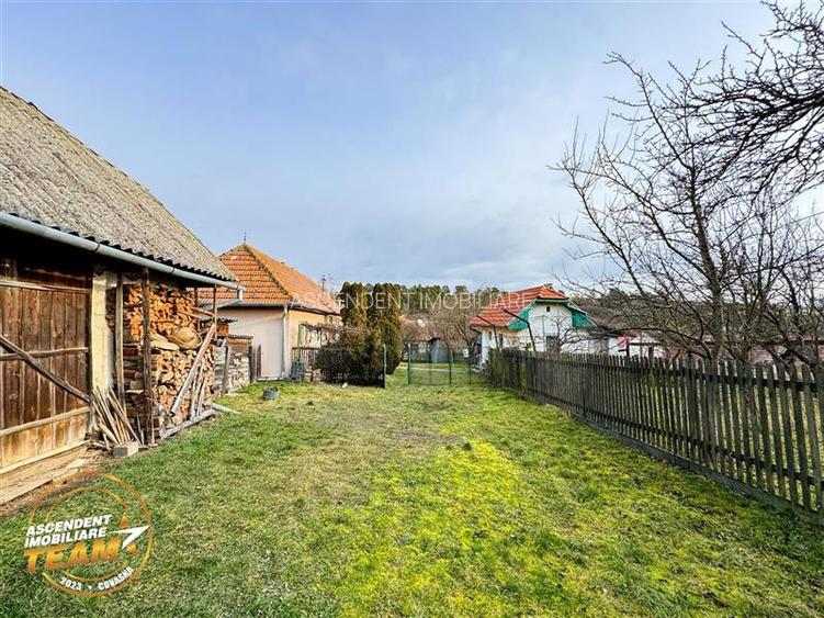 FILM! 5.000mp teren intravilan cu casuta rustica, Dalnic, Covasna - 25