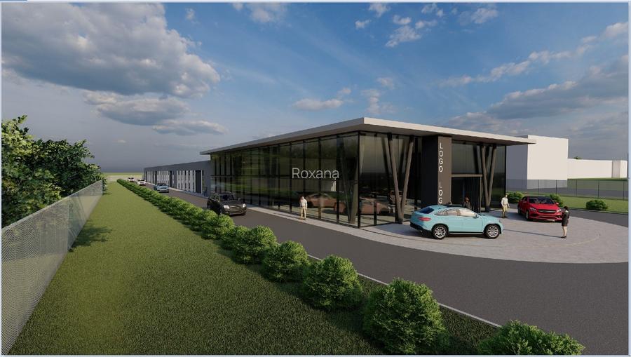 Opounitate - teren pe soseaua Borsului - 3