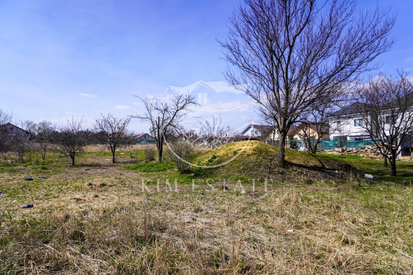 Teren Strada Mare Lumina Central - 6