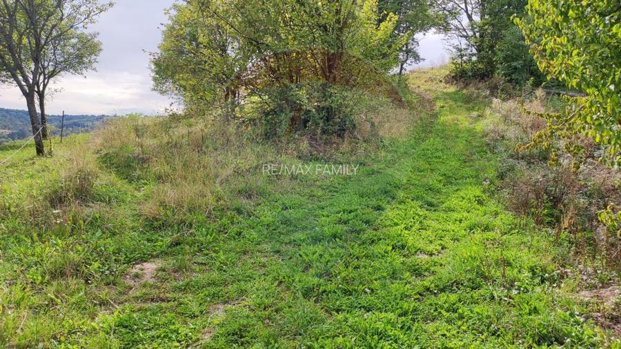 Teren constructii si faneata/livada 3082 mp Damis Bratca drum DJ 764D - 16