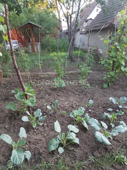 Casa singur in curte in Apoldu de Jos , la 35 km de Sibiu! - 42