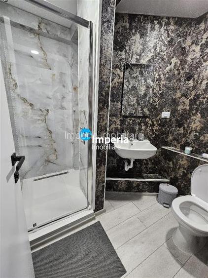 Pensiune 9 camere, 7 bai, mob, 300 mp , 1500 teren Bogonos Letcani - 5