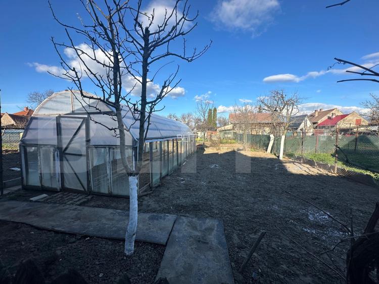 Casa individuala, curte si gradina, Harman - 14