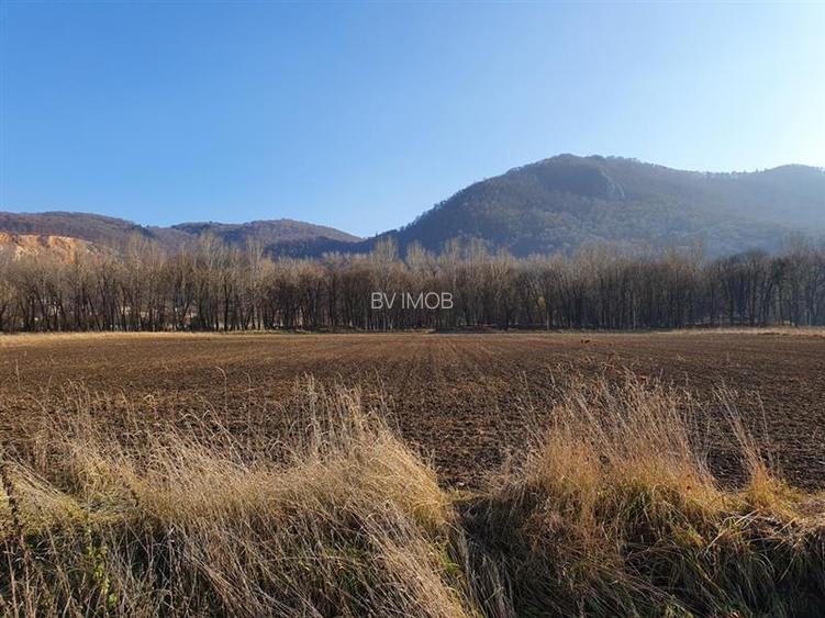 Vanzare Teren intravilan Str. Cucului, zona Bartolomeu 18600 mp - 11