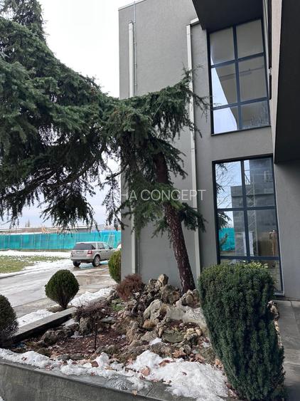 SPATIU COMERCIAL-INDUSTRIAL - ANADALCHIOI - 20