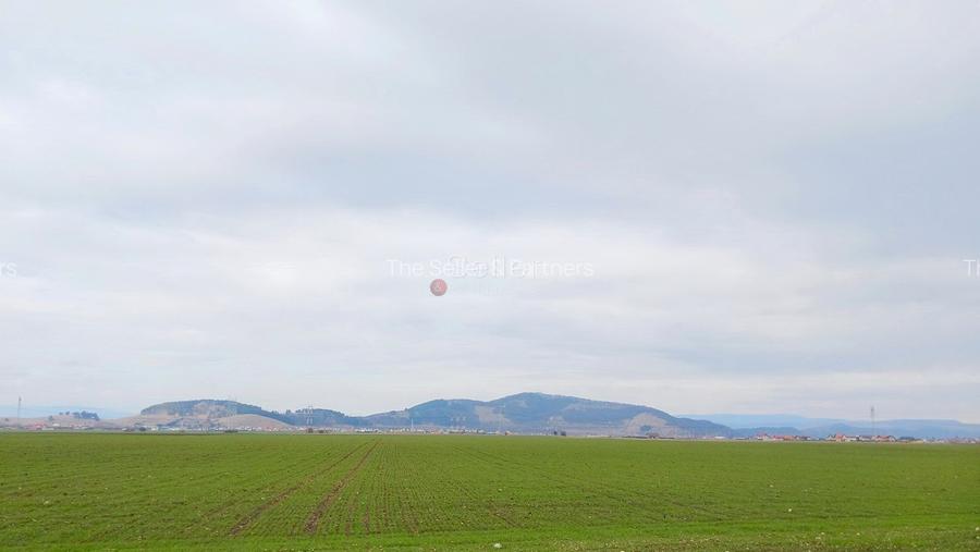 Teren Extravilan - 3