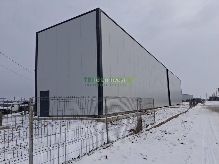 Hala depozitare -  Cernica - 6