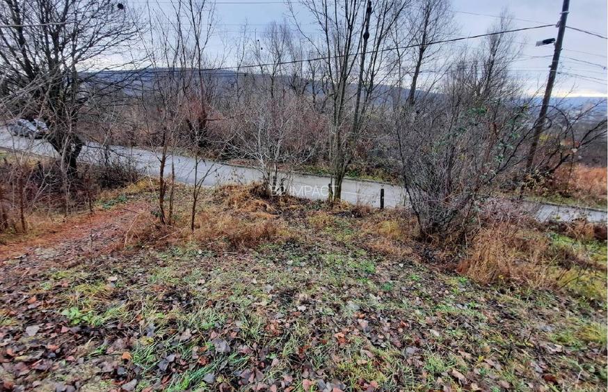 Teren intravilan faneata Fieni 4.488 mp (licitatie) - 4