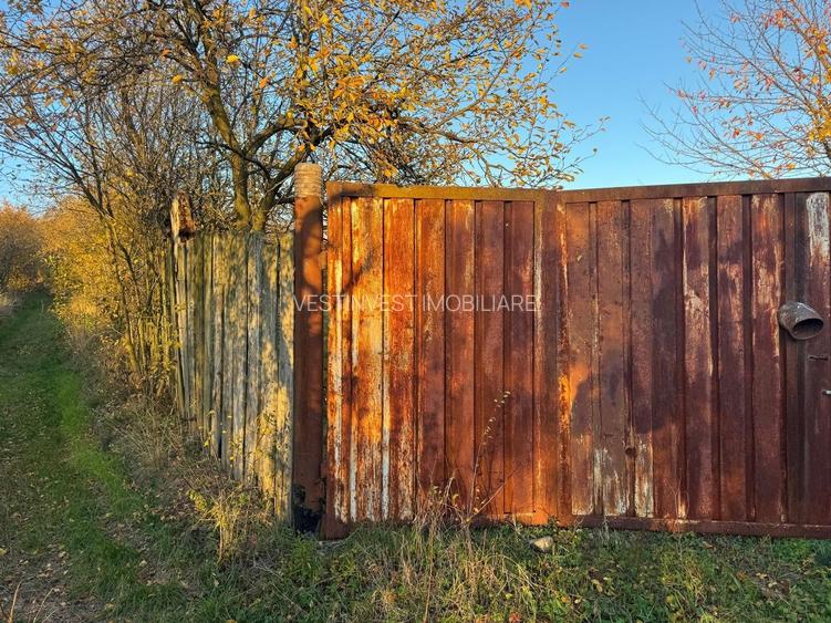 Teren intravilan 3323 Husasau de Cris - 8