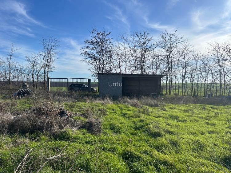 Teren extravilan 5000 mp - 2