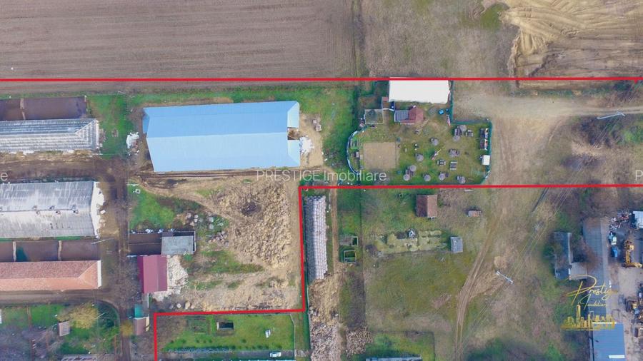 Domeniu - Centru de colectare, 7 ha de vanzare in Valea lui Mihai - 11