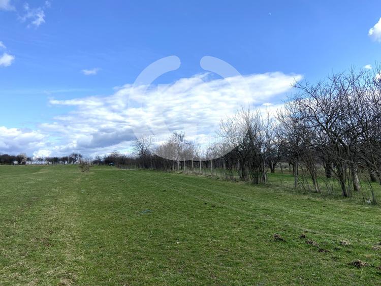 Teren Extravilan Rasinari 1500 mp | Zona deosebita - 4