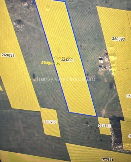 Teren intravilan | 8,602 | Pata Rat - 2