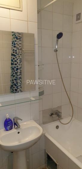 Tineretului-Parc,Garsoniera Vedere Parc - 5