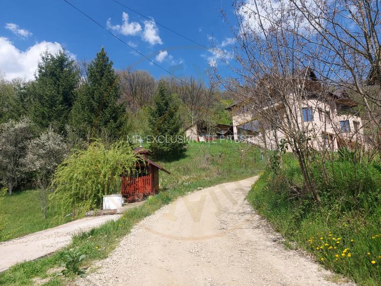 Casa 6 camere langa padure/ 340 mp/ teren de 3 745 mp la 5 min de Pitesti - 15