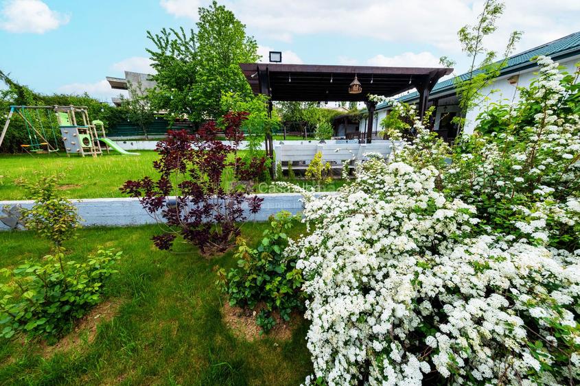 Proprietate unica, independenta energetic, zona Bucium - 40