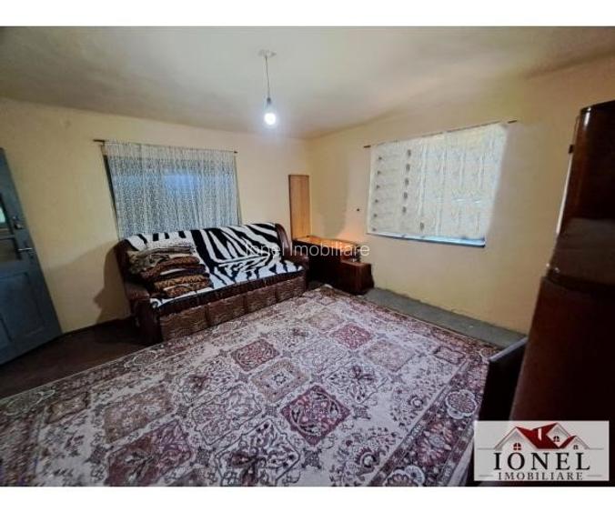 Casa de vanzare cu 46774 mp teren in zona Vintu - 6