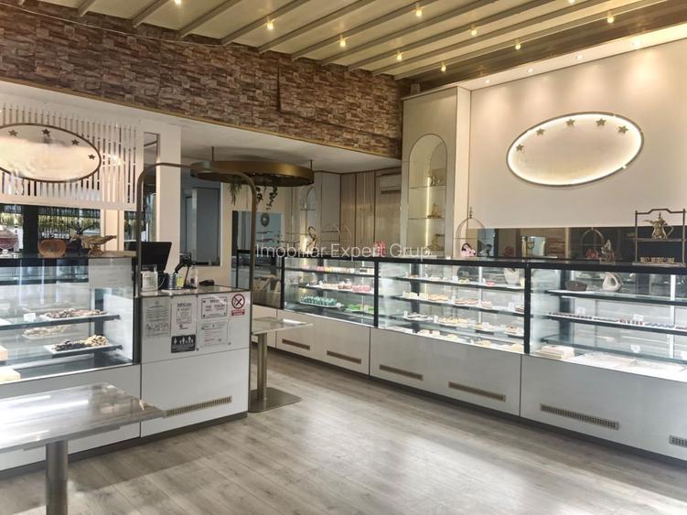 Oportunitate zona Kiseleff - 9