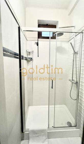 VILA SUPERBA RENOVATA COMPLET/4 APARTAMENTEx120M/480MP/KISELEFF-MUZEUL TARANULUI - 33