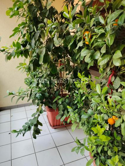 casa superba, zona linistita, accesibil, cu mansarda locuibila de 100mp. - 47