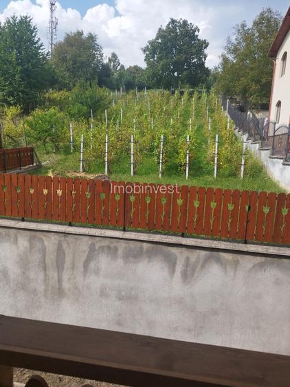 Vand casa cu 5 camere in Platoul Cornesti - 9