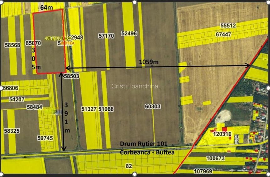 De vanzare teren Tamas, intravilan 15.900 mp. Potential crestere exceptional!!! - 3