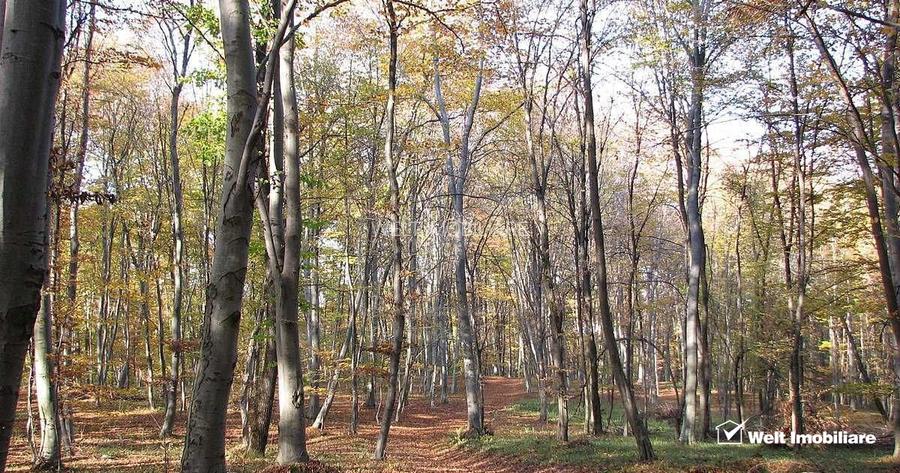 Teren spectaculos, intravilan,  Feleacu, zona linistita, padure + parau. - 8