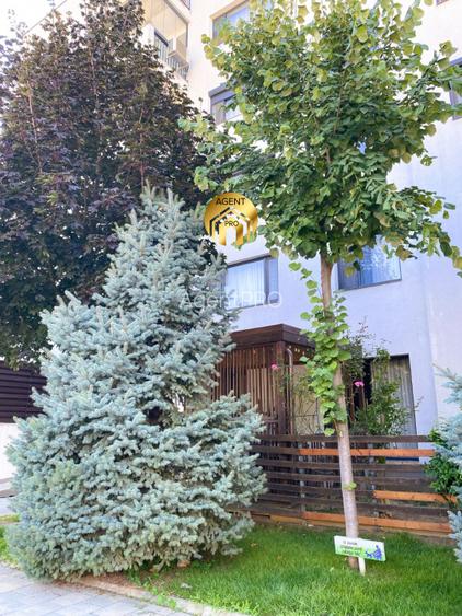 Apartament 3 camere Mobilat si Utilat - Greenfield Baneasa - 15