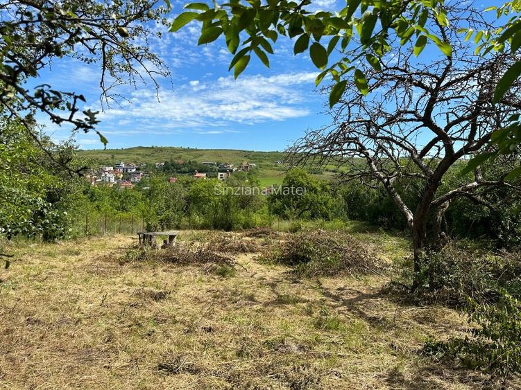 Vând teren 1000mp Borhanci str Voievod Gelu nr 22D - 3