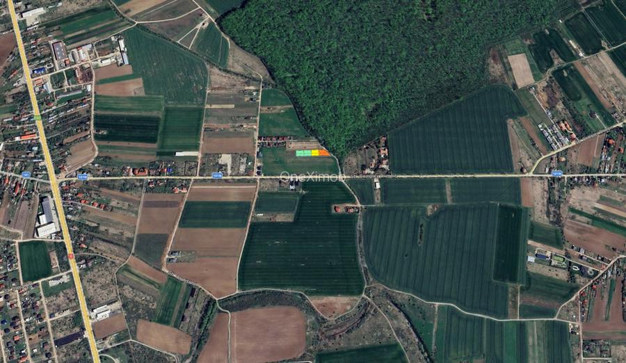 LOTURI DE 500mp | LANGA PADUREA SNAGOV | IZVORANI - LOCATIE DE VIS | COMISION 0% - 5