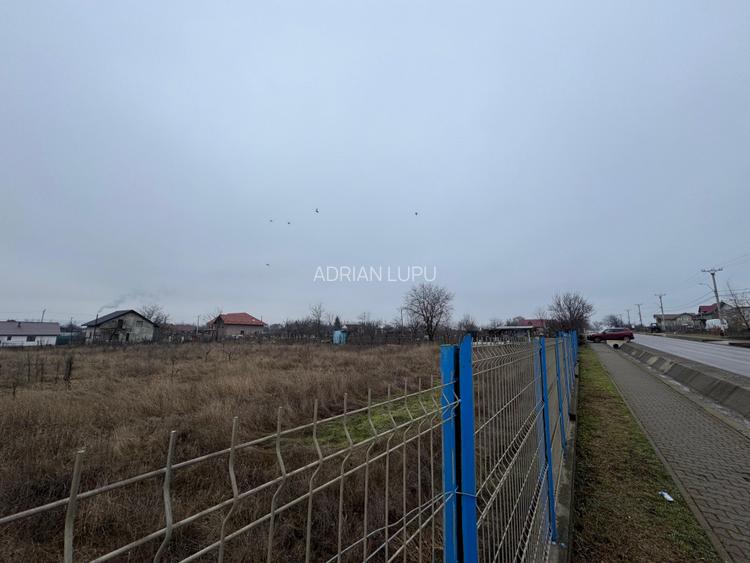 Vanzare Teren Intravilan 1800 mp Tiganasi Acces DJ Iasi-Botosani - 5