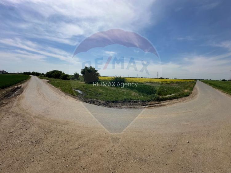 Teren 545,000mp Dragomiresti-Vale - 14