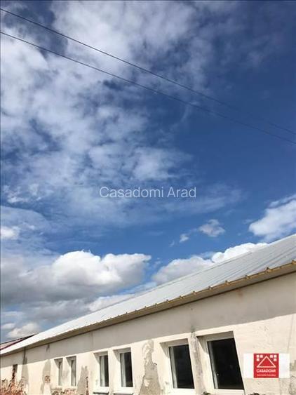 Hala renovata, cu acces rapid la autostrada - 3