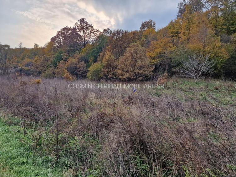 Teren 1,717mp Margineni / Strada Sat podis - 10