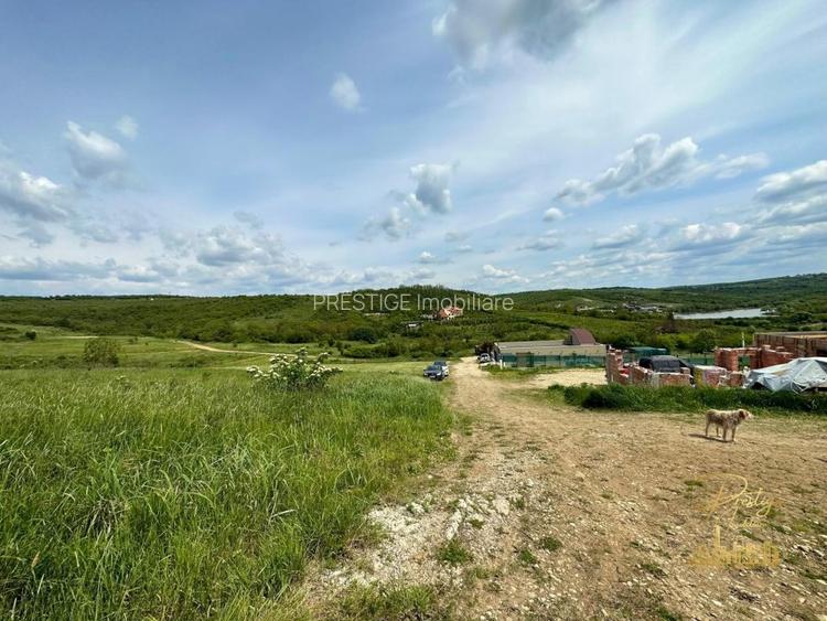 Teren intravilan in zona Hanul Pescarilor, str. Dealul lui Dumnezeu - 9