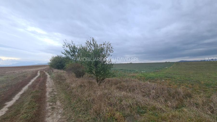 Oază de Natură și Potențial: Teren de 48.100 mp lângă Delta din Carpați - 8