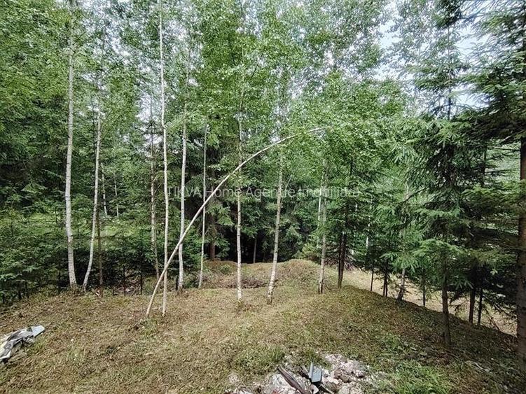 Casa de vacanta nefinalizata (Gheorgheni, zona Magasbukk, km 5) - 20