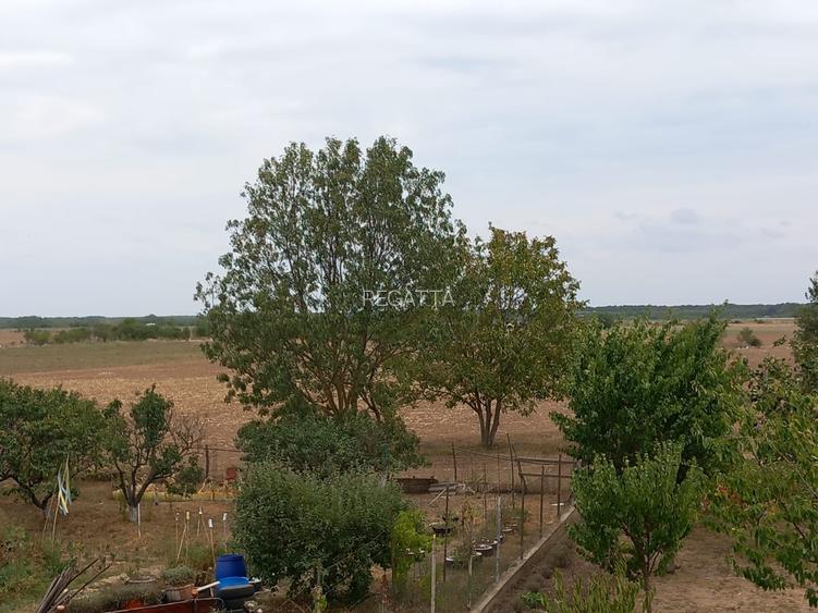 CASA CU TEREN GENEROS IN GRUIU - 37