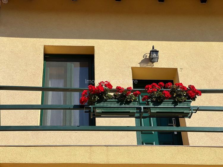 Business la cheie - Proprietate tip pensiune cu rating 9,8/10 Booking - 14