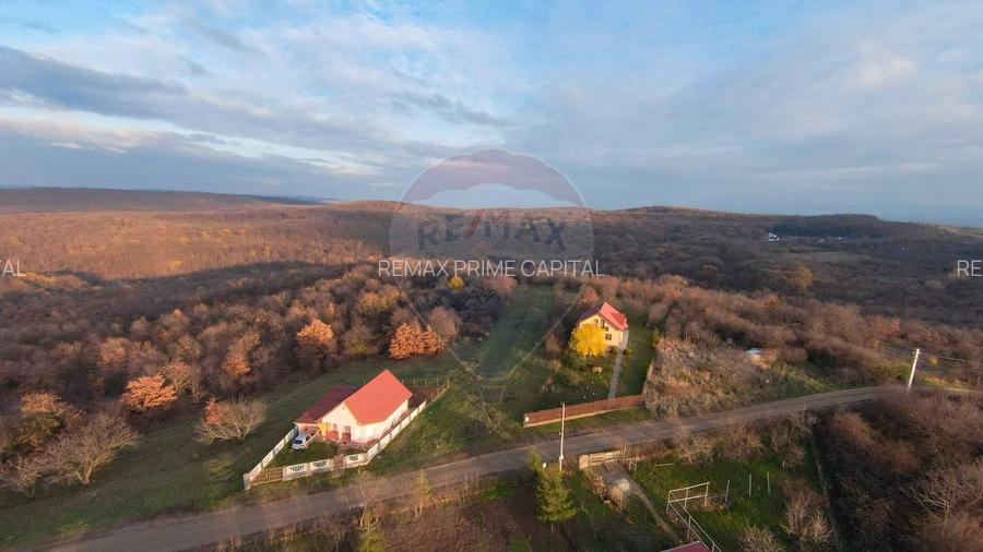 Teren intravilan de vânzare 915 mp – Săldăbagiu de Munte - 5