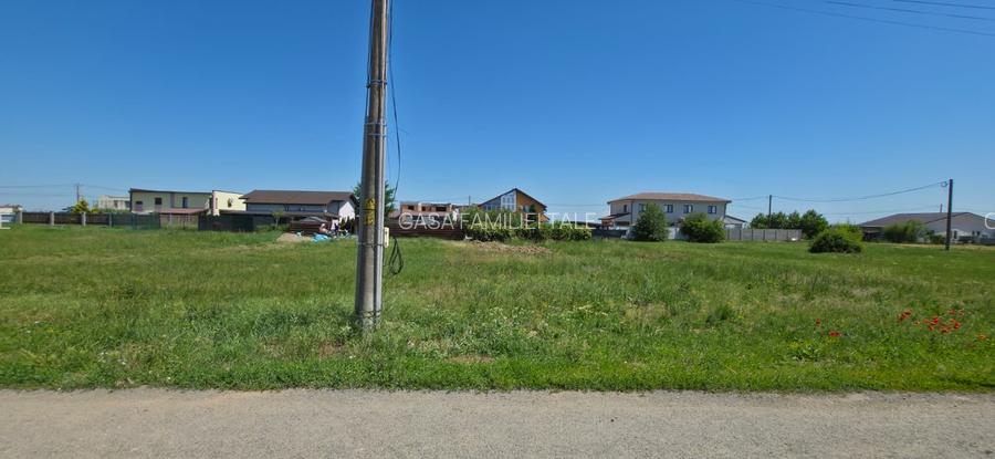 TEREN PREMIUM DE VÂNZARE ÎN DUMBRĂVIȚA – LÂNGĂ PĂDURE - 2