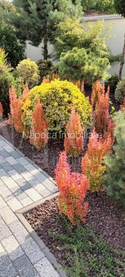 Casa 4 camere de vanzare in Centru Oradea, Oradea - 15