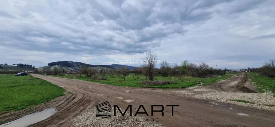 Teren Intravilan 533 mp Sanpetru - 3